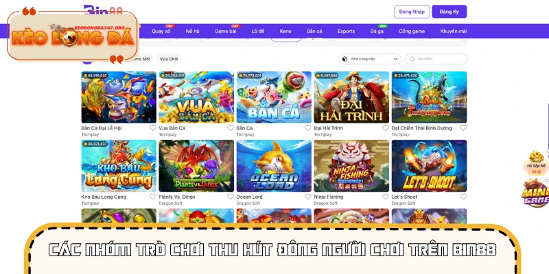 Các nhóm trò chơi thu hút đông người chơi trên BIN88