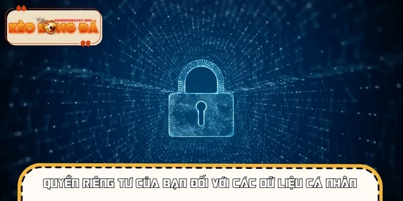 Hội viên có toàn quyền đối với các dữ liệu riêng tư